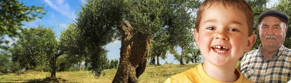 A smiling child and his grandfather under olive trees