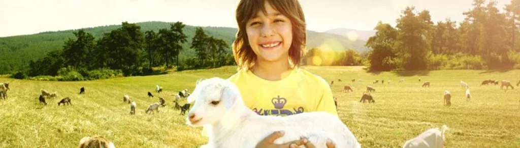 A child holding a lamb in a pasture